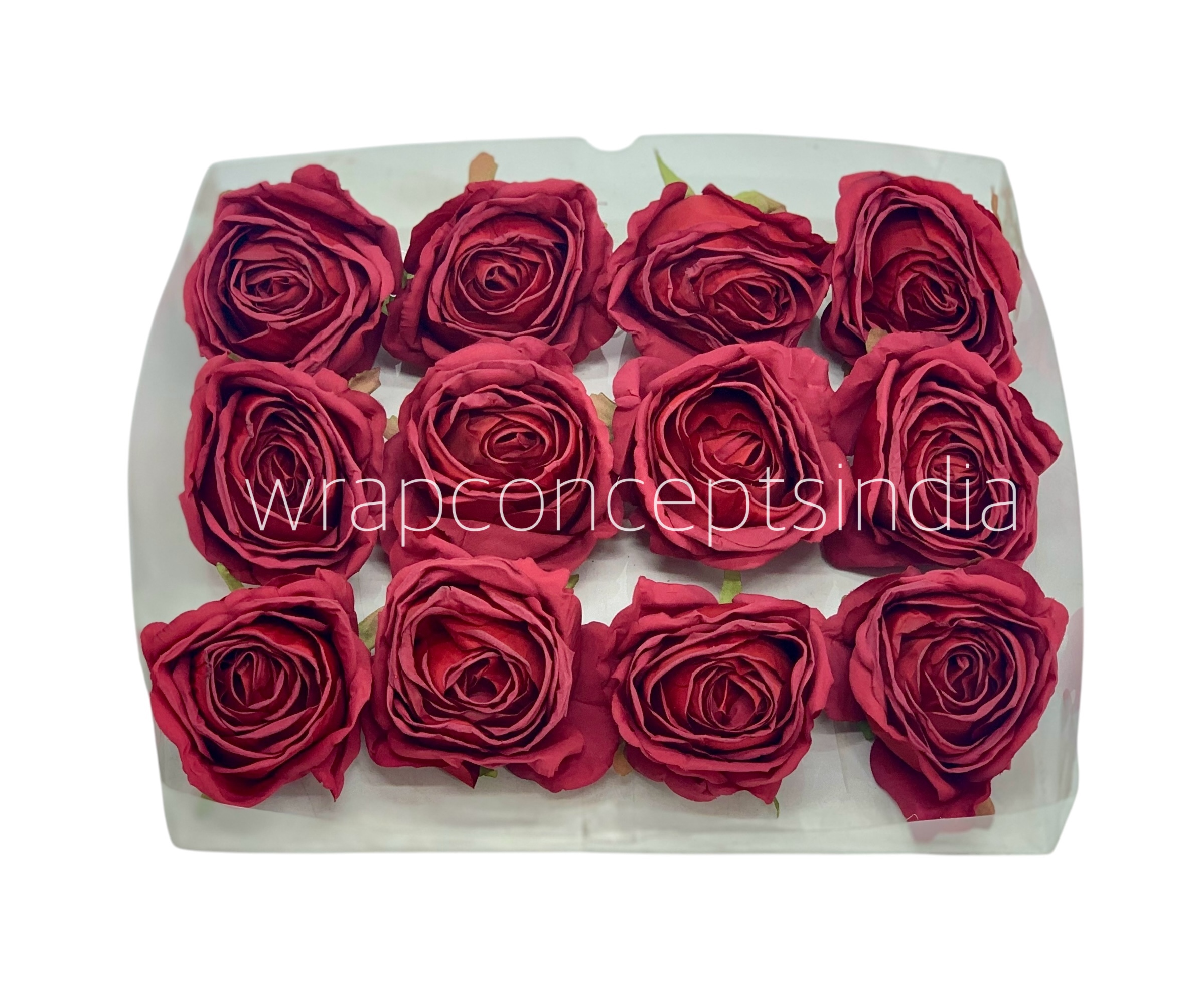 Ruby Roses