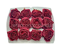 Ruby Roses