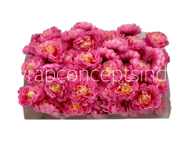 Candy Pink Small Dahlias