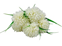 Carnation Bunch - Mullticolour