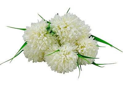 Carnation Bunch - Mullticolour