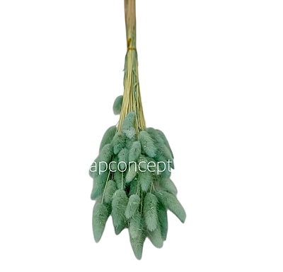 Preserved Bunny Tails