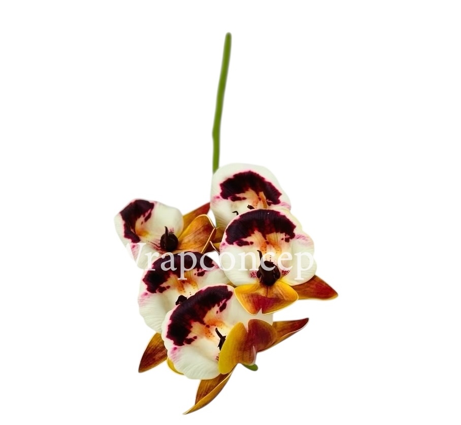 Orchid Sticks - Multicolor