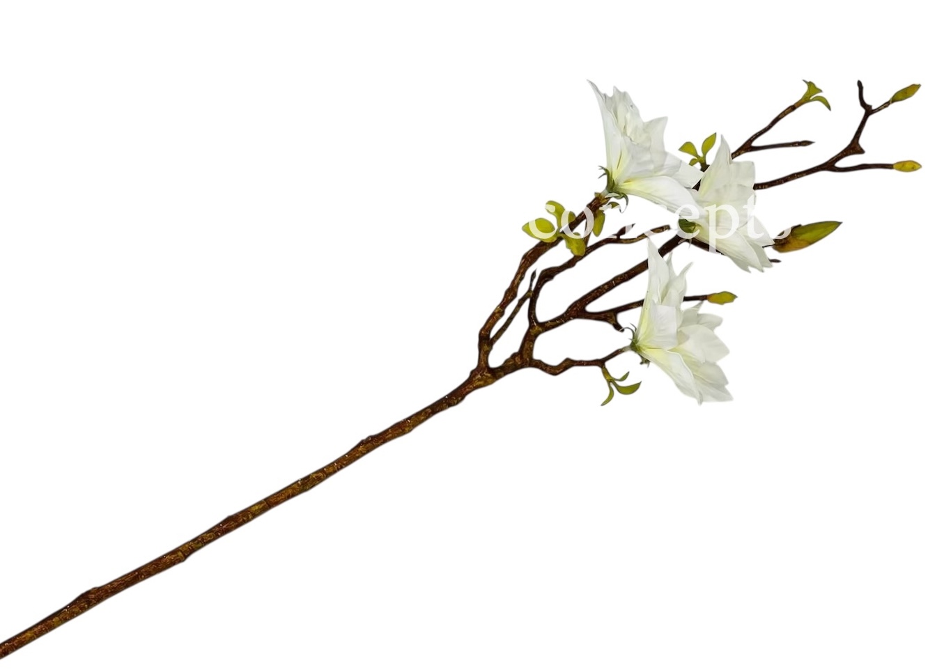 Copy of Orchid Sticks - Multicolor