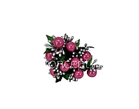 Rose Pink & Silver Pearl Pollen