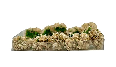 Sand Aubrieta Flower