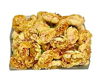 Buttercup with Peach Open Peony