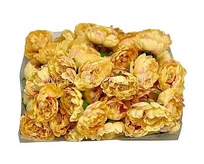 Buttercup with Peach Open Peony