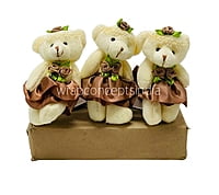 Teddy With Dress & Bow - Multicolour