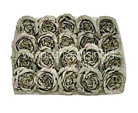 Trout Small Ornate Peonies