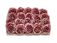 Purple with Cream Smalll Ornate