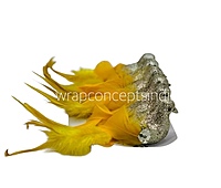 Glittery Birds with Feather Tails (Multicolour)-White