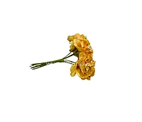 Ochre Windflower