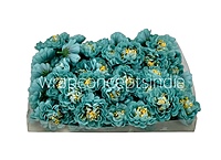 Rose with feathers - Deep Purple