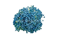 Baby Breath's Bunch