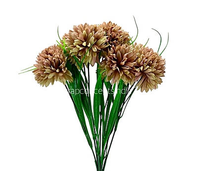 Carnation Bunch - Mullticolour