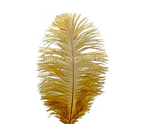 Faux Feather Rounded Edges-Brown