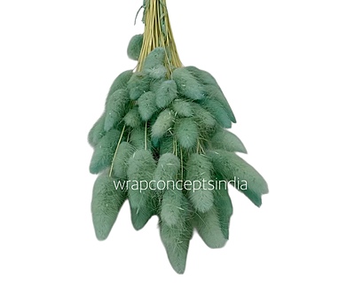 Preserved Bunny Tails