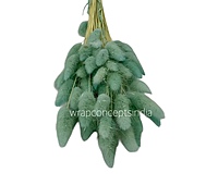 Preserved Bunny Tails-Teal