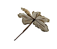 Medium Flower with Glitter Edges- Gold