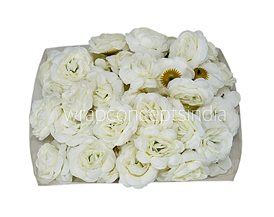 Vanilla Cream Shrub Rose