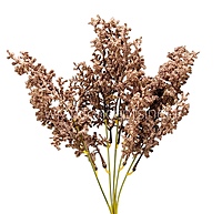 Frosted Plum Blossom Spray-White