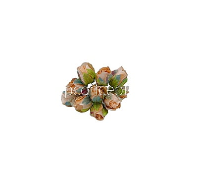 Big Peach Rose Buds on Stick