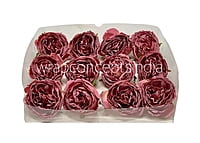 Dusky Rose Buds on Stick