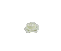 Ivory Medium Foam Rose