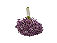 Baby Breath's Bunch