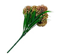 Carnation Bunch - Mullticolour