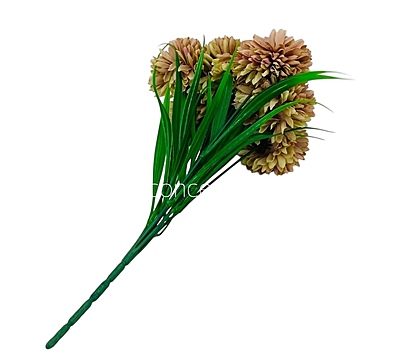 Carnation Bunch - Mullticolour