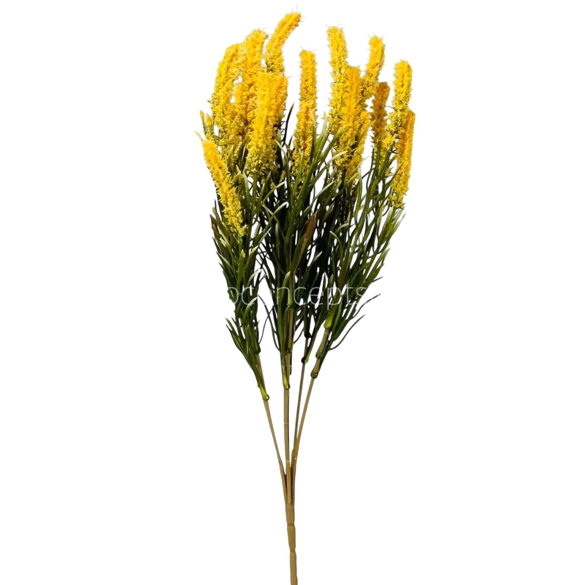 Leaves Bunch with Frosted Conifers