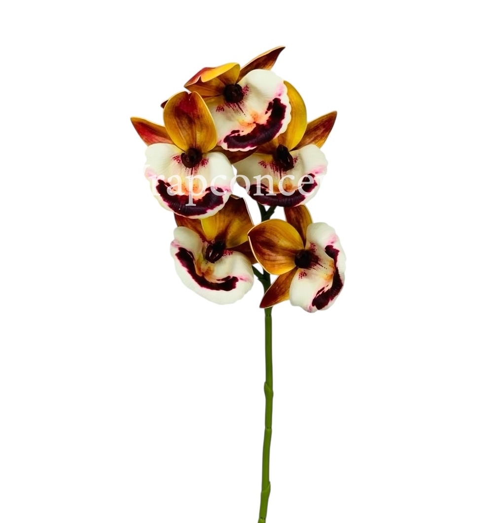 Orchid Sticks - Multicolor