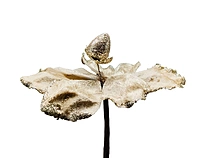 Medium Flower with Glitter Edges- Gold