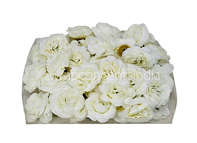 Vanilla Cream Shrub Rose