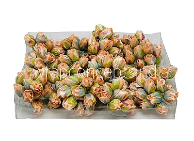 Big Peach Rose Buds on Stick