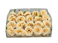 Rose-W-6191-Fuchsia Pink (17)