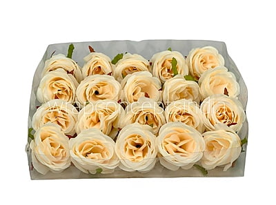 Rose-W-6191-Fuchsia Pink (17)