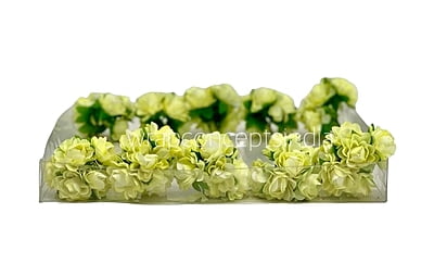 Corn Aubrieta Flower