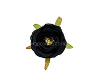 Black Camellia Flower