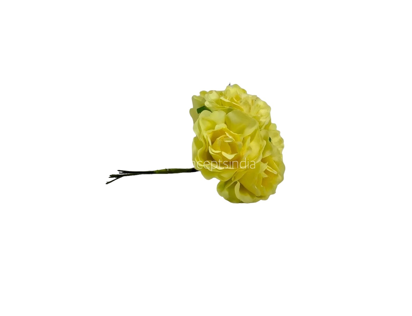 Canary Rose on Stick