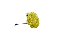 Canary Rose on Stick