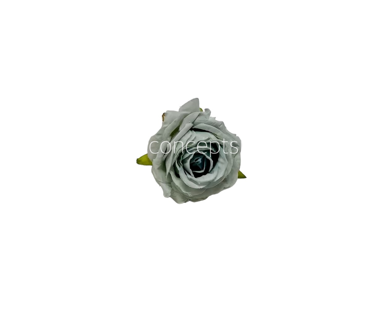 Soft Blue Small Roses