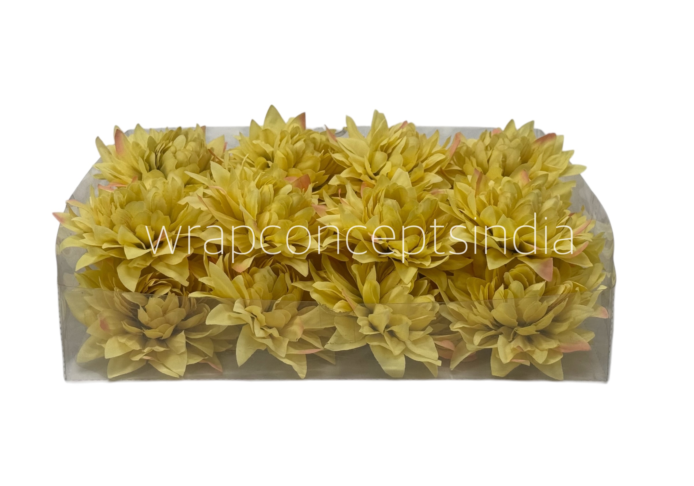 Lime Dahlia Flower