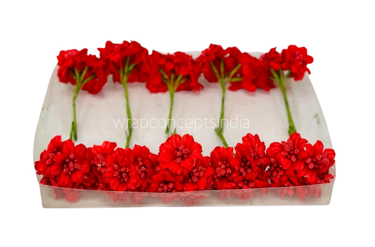 Red Flowers with Red Pollens