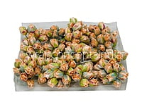 Big Peach Rose Buds on Stick