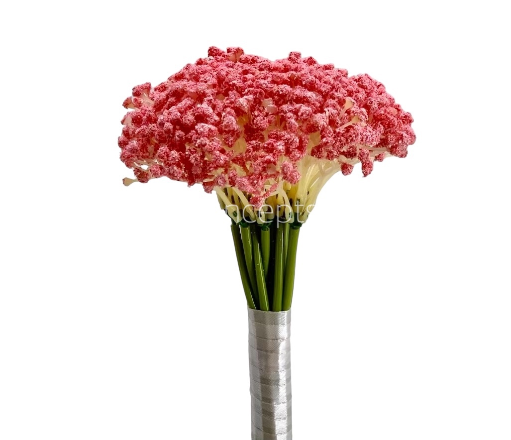 Baby Breath's Bunch
