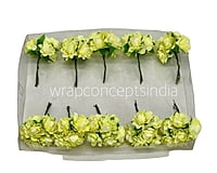 Corn Aubrieta Flower