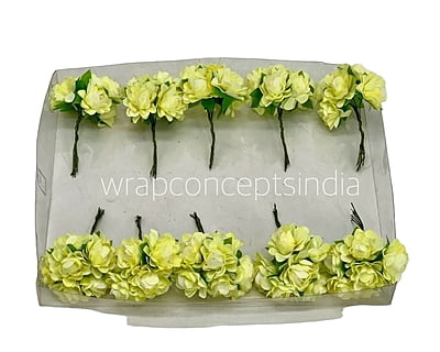 Corn Aubrieta Flower